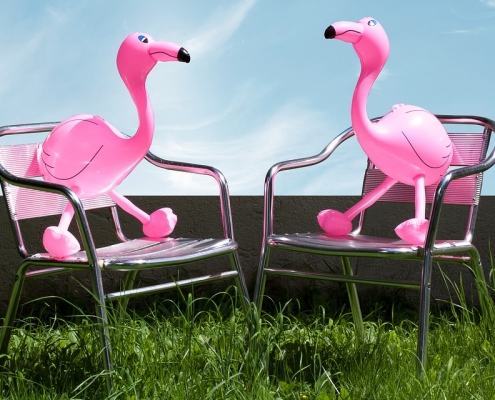 flamingo-1554180_960_720